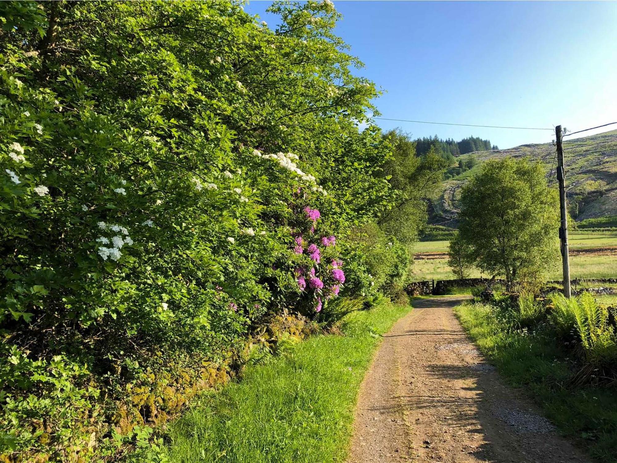 فيلا Ledmore Ardnacross Farm المظهر الخارجي الصورة