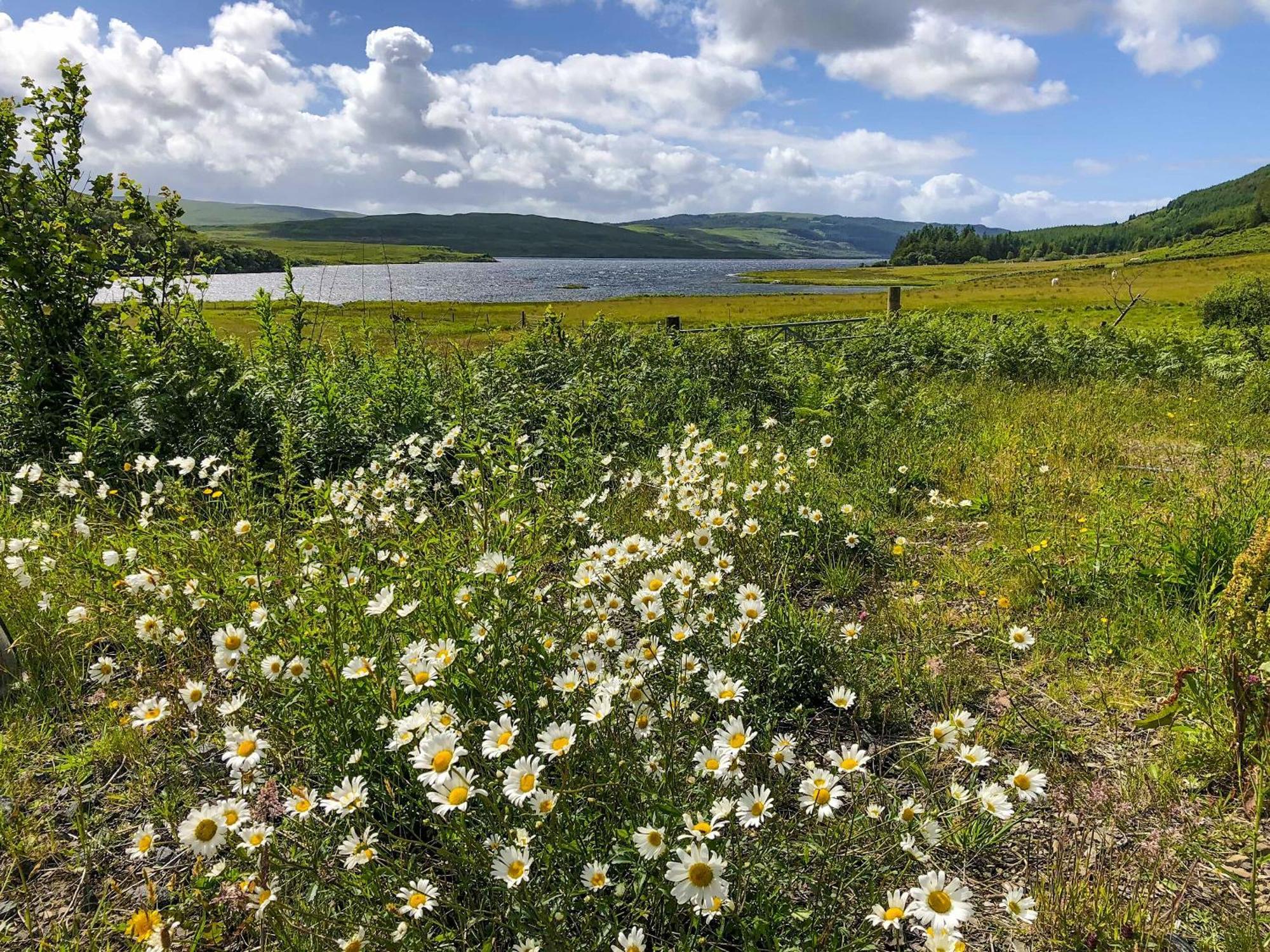 فيلا Ledmore Ardnacross Farm المظهر الخارجي الصورة