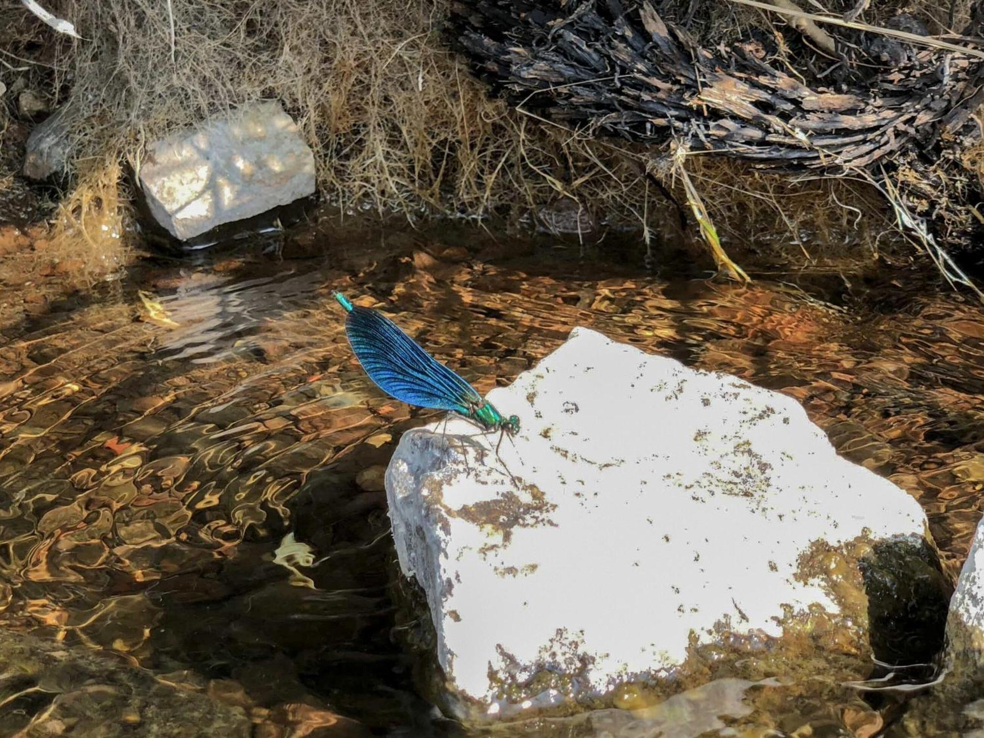 فيلا Ledmore Ardnacross Farm المظهر الخارجي الصورة