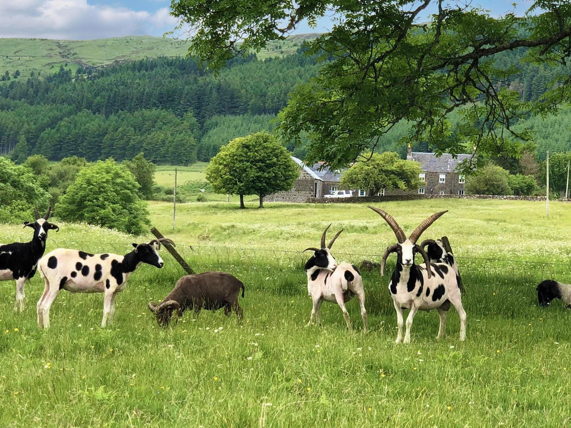 فيلا Ledmore Ardnacross Farm المظهر الخارجي الصورة